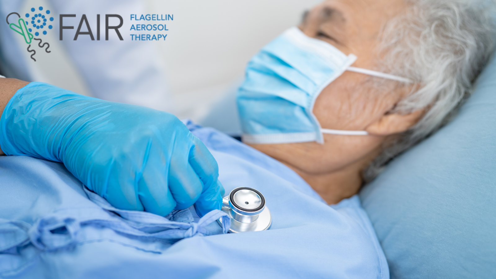 Webinar announced to mark the end of the FAIR project 